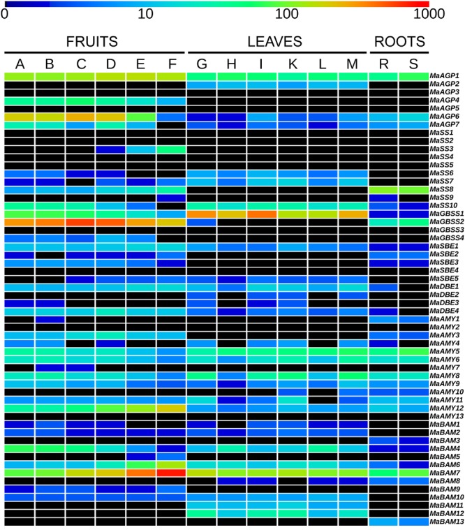 FIGURE 2