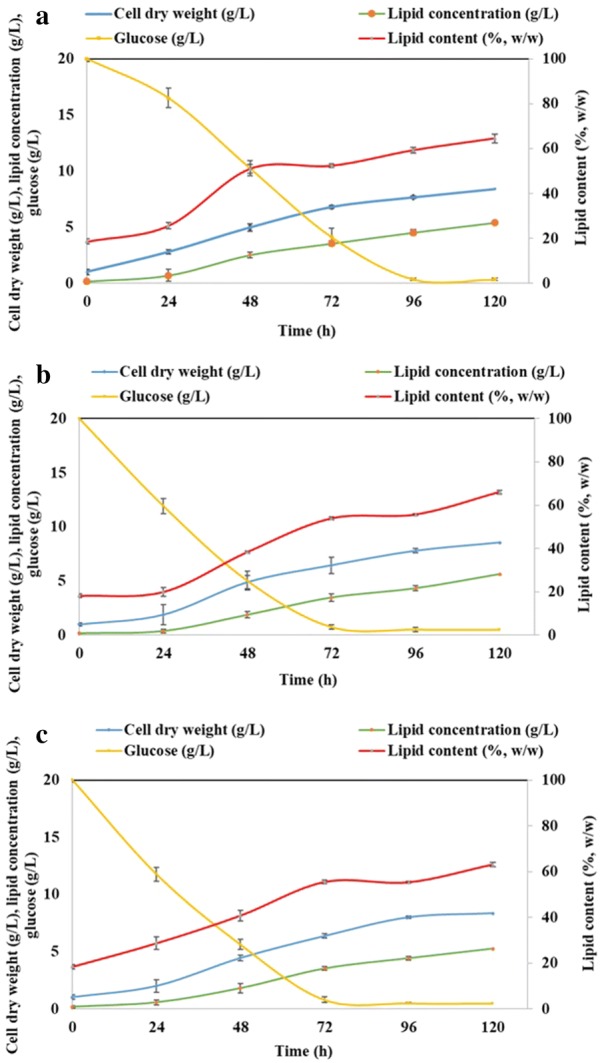 Fig. 2