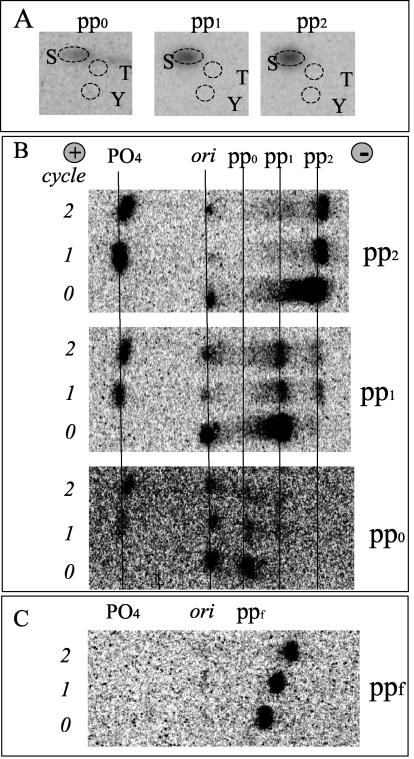 FIG. 3.