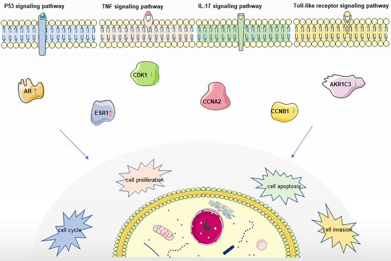 Figure 6