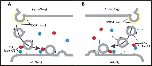 Figure 7.