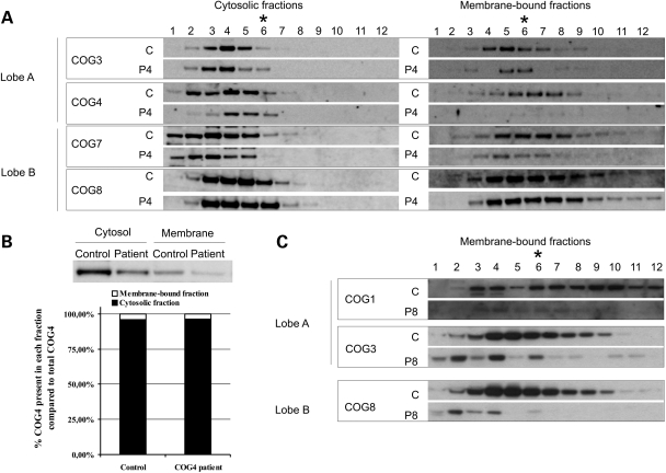 Figure 2.