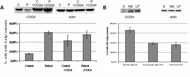 Figure 5.