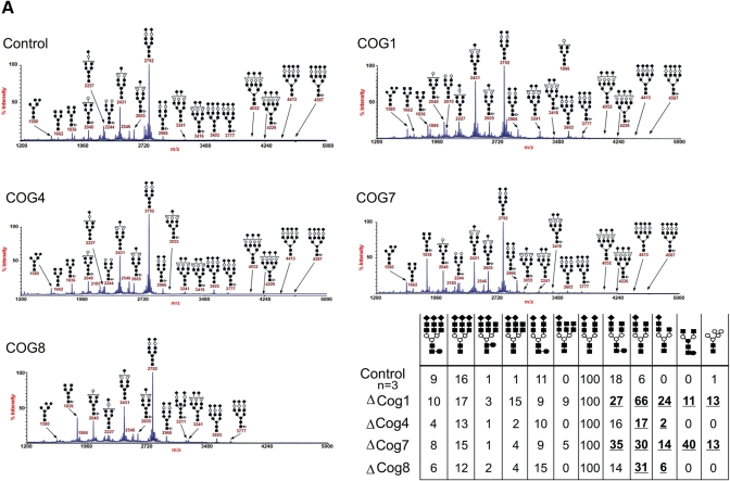 Figure 3.