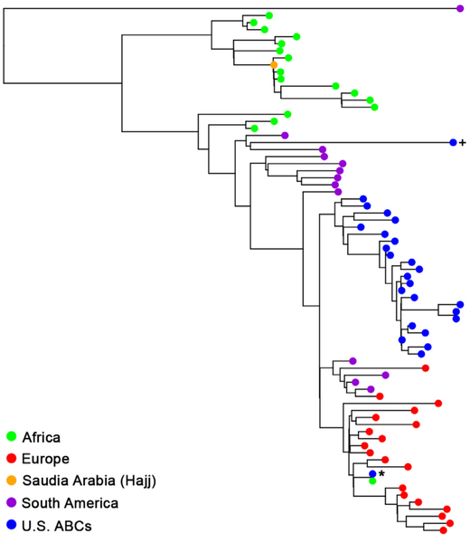 Fig. 4.