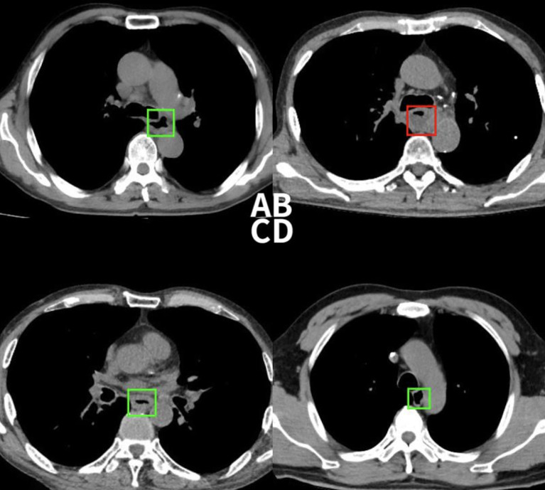 Figure 6