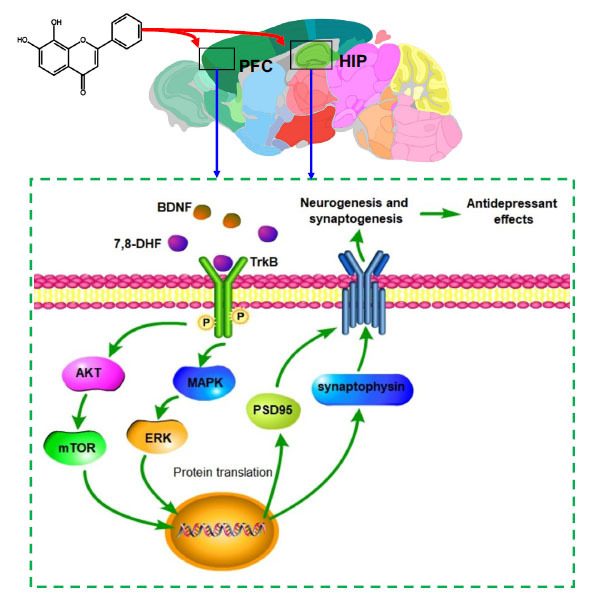 Fig. (6)