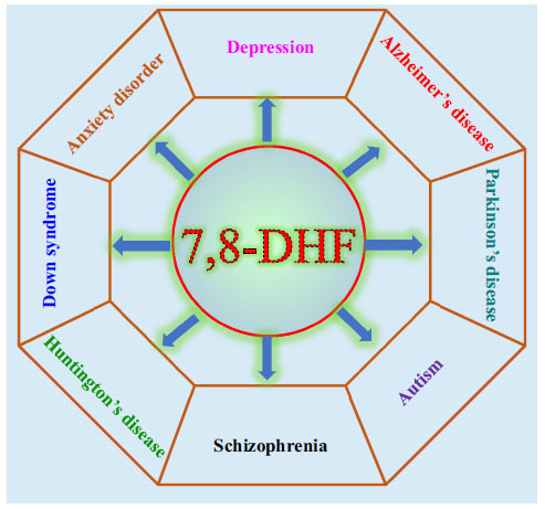 Fig. (2)