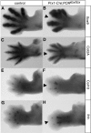FIG. 6.