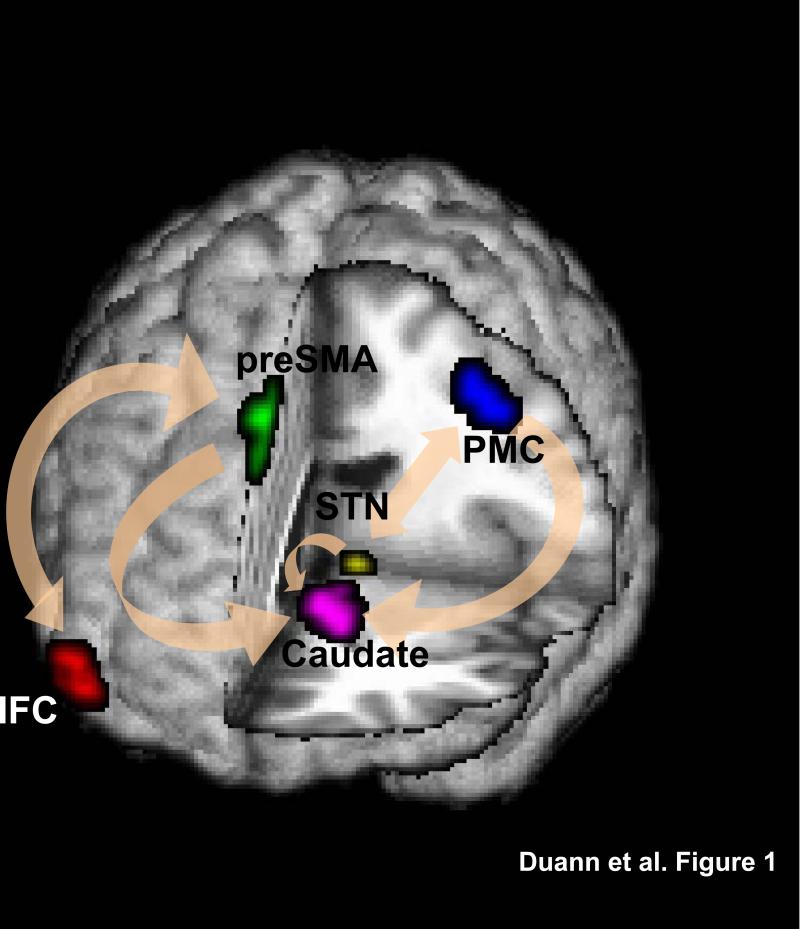 FIGURE 1