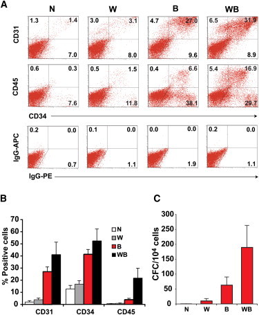 Figure 5