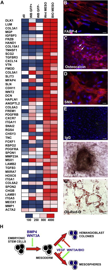 Figure 7