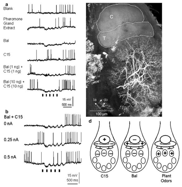 Fig. 6