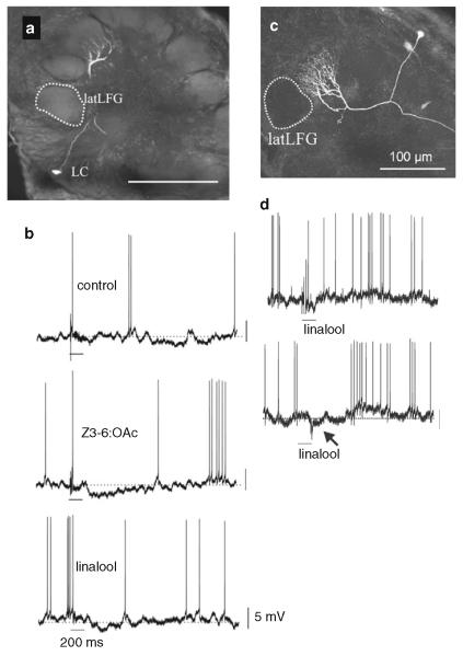 Fig. 9