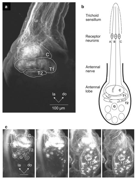 Fig. 2