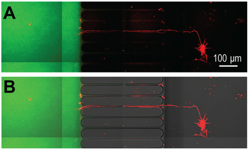 Figure 6: