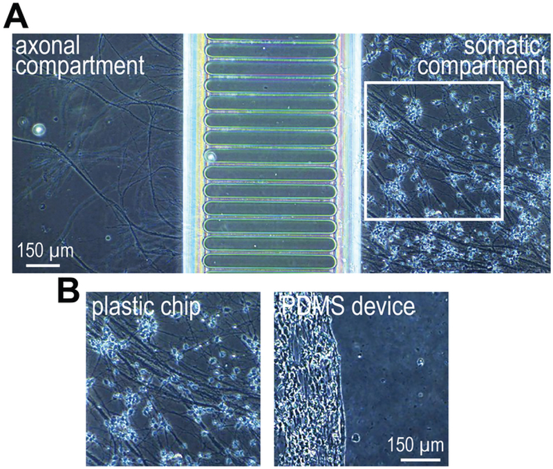 Figure 3: