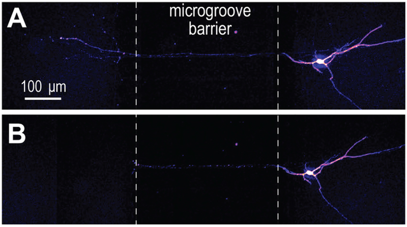 Figure 7: