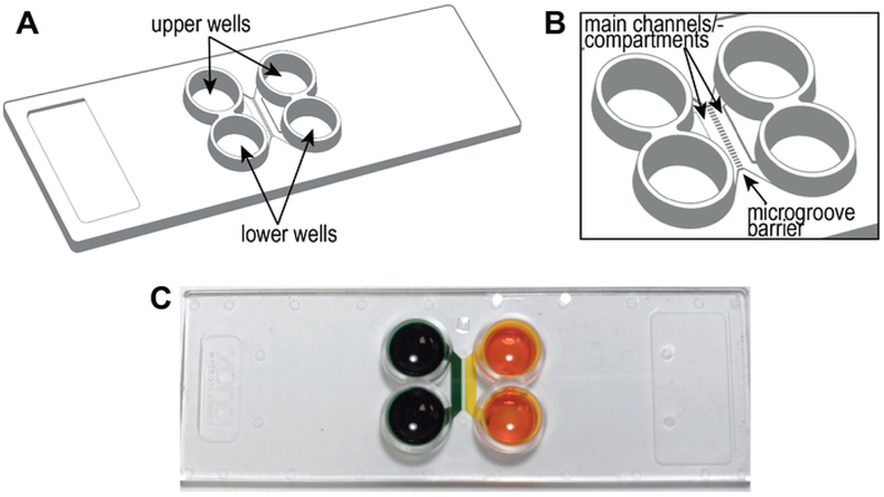 Figure 1: