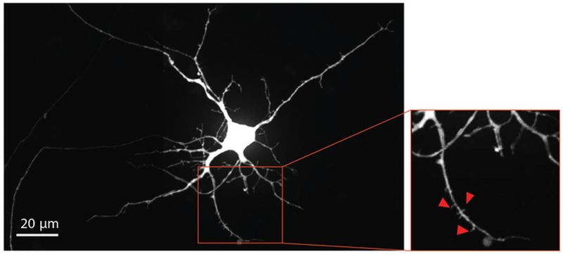 Figure 4: