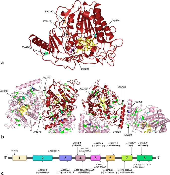 Fig. 2