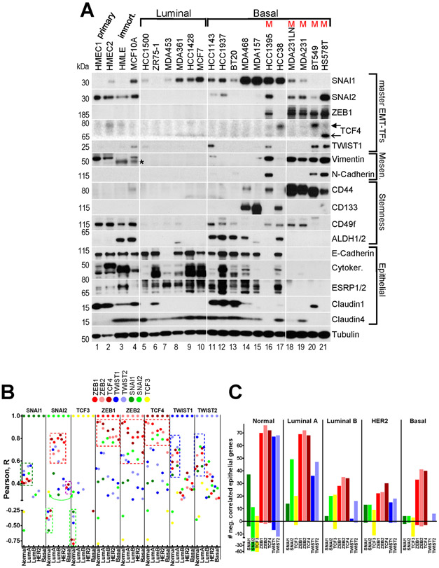 Fig.3.