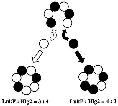 FIG. 8.