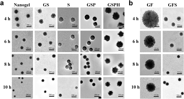 Fig. 4