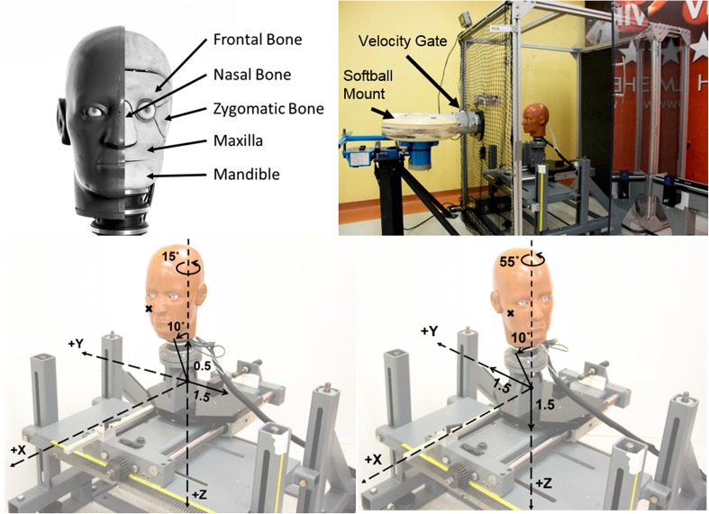 Figure 1