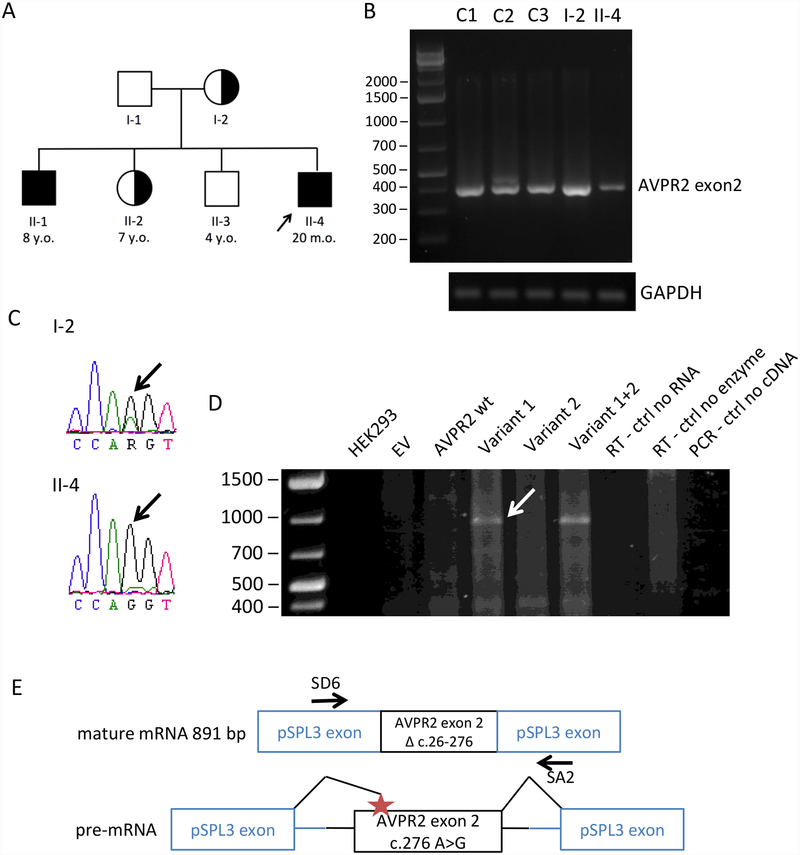 Fig 1.