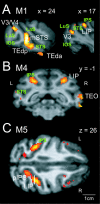 Figure 6.