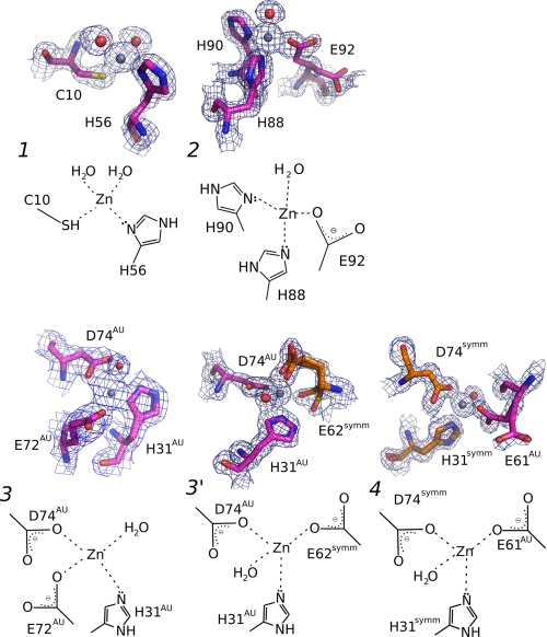 FIGURE 2.