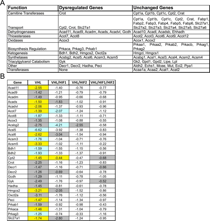 Figure 6—figure supplement 1.