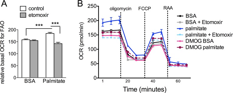 Figure 6—figure supplement 3.