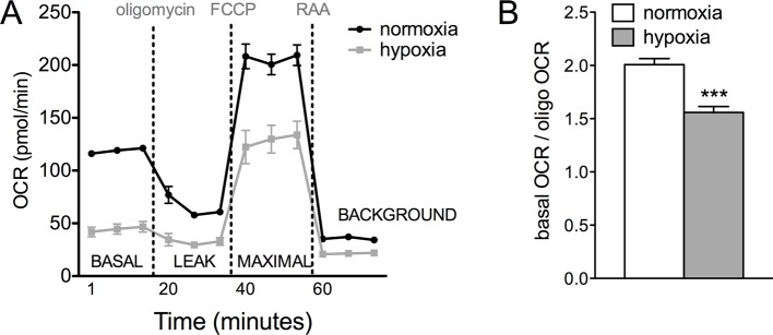 Figure 7—figure supplement 2.