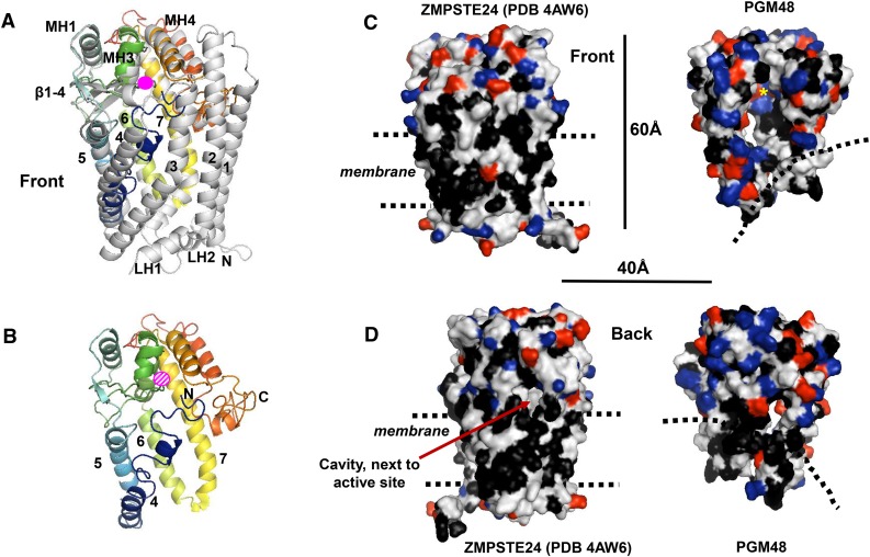 Figure 3.