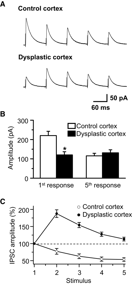 Fig. 8.