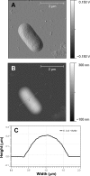 FIGURE 2.
