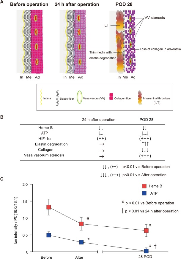 Fig 12