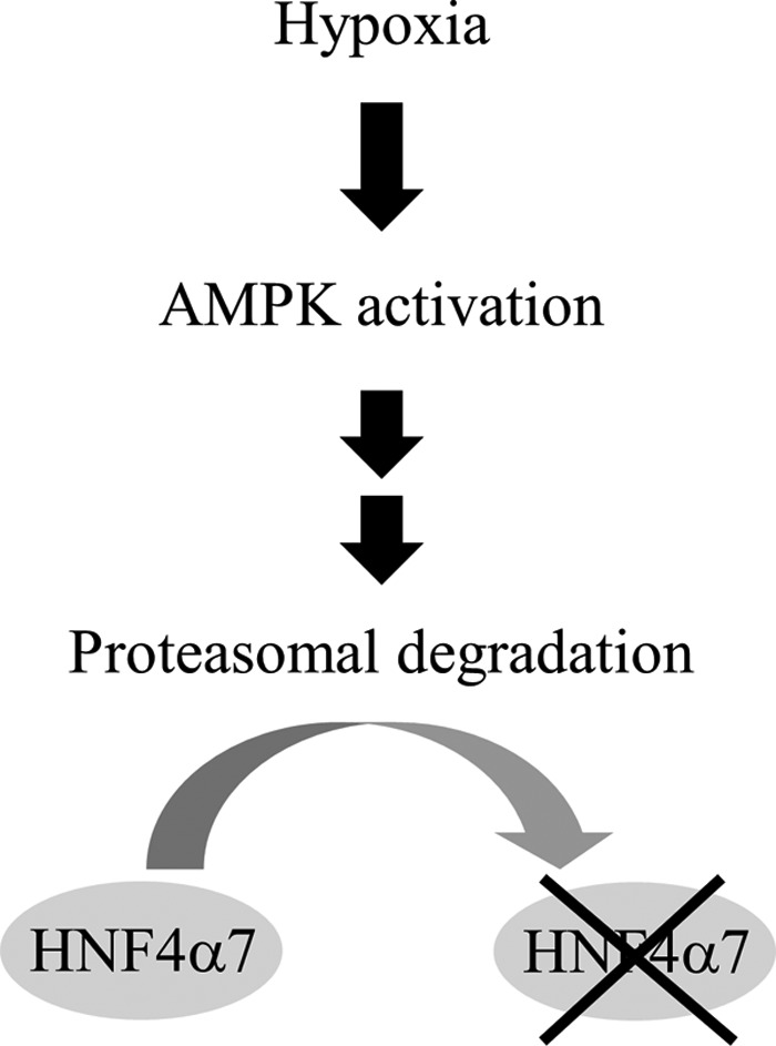 Figure 10.