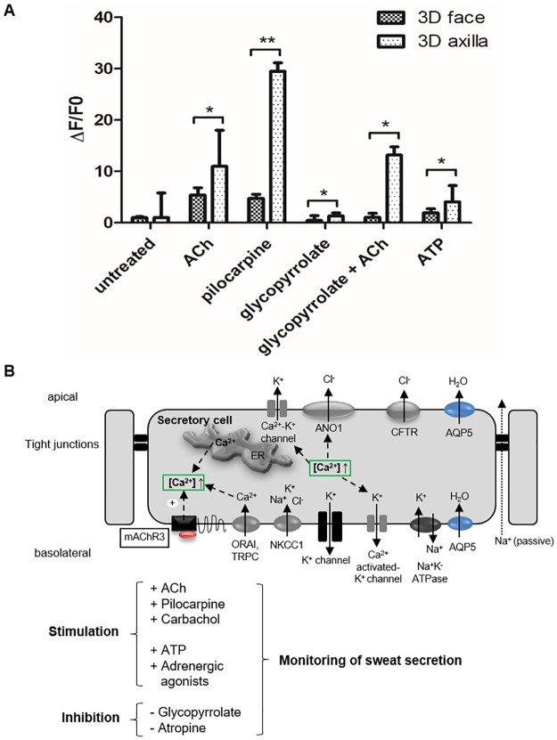 Fig 6