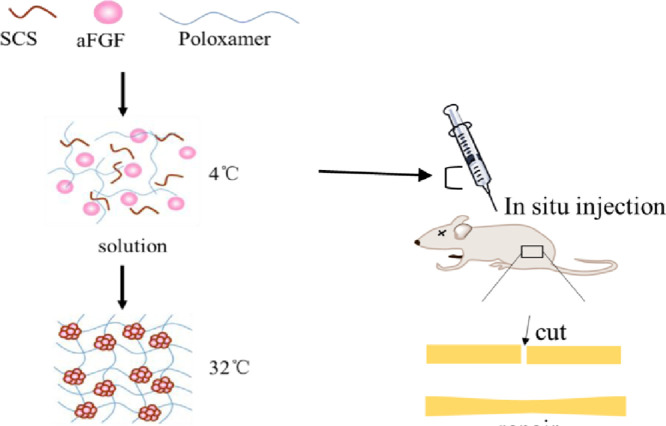 Image, graphical abstract