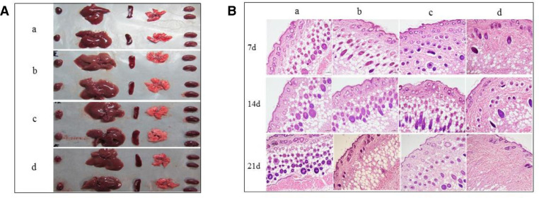 Fig. 5.