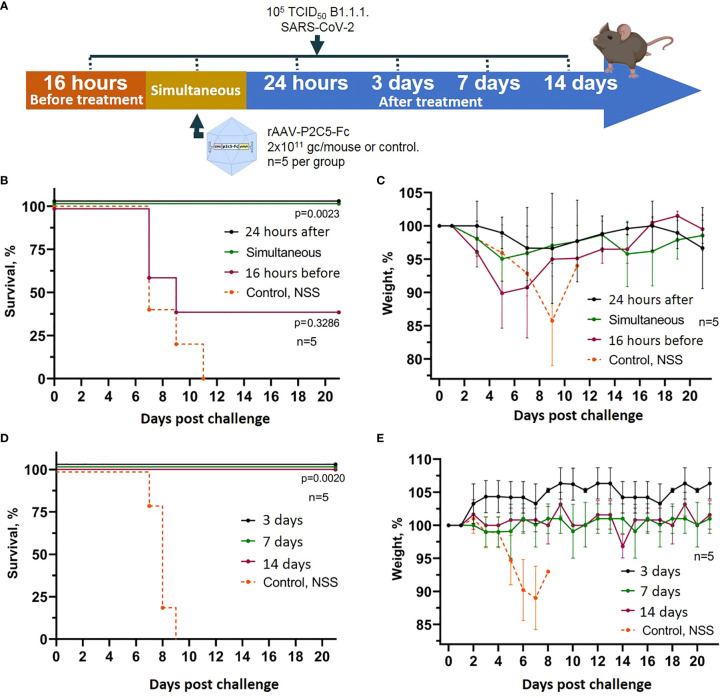 Figure 3