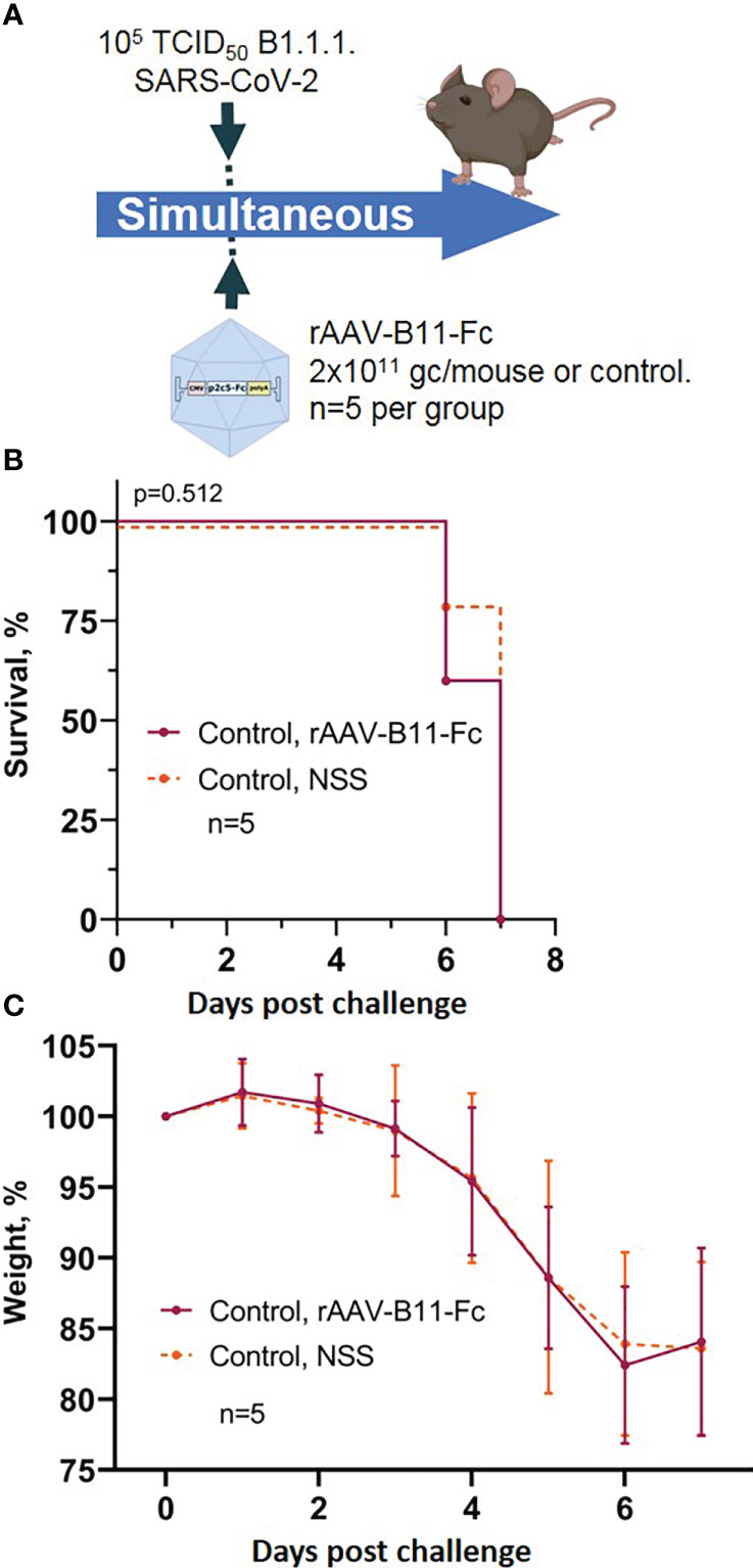 Figure 4