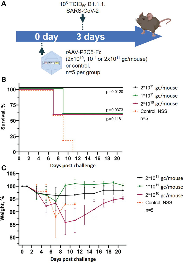 Figure 2