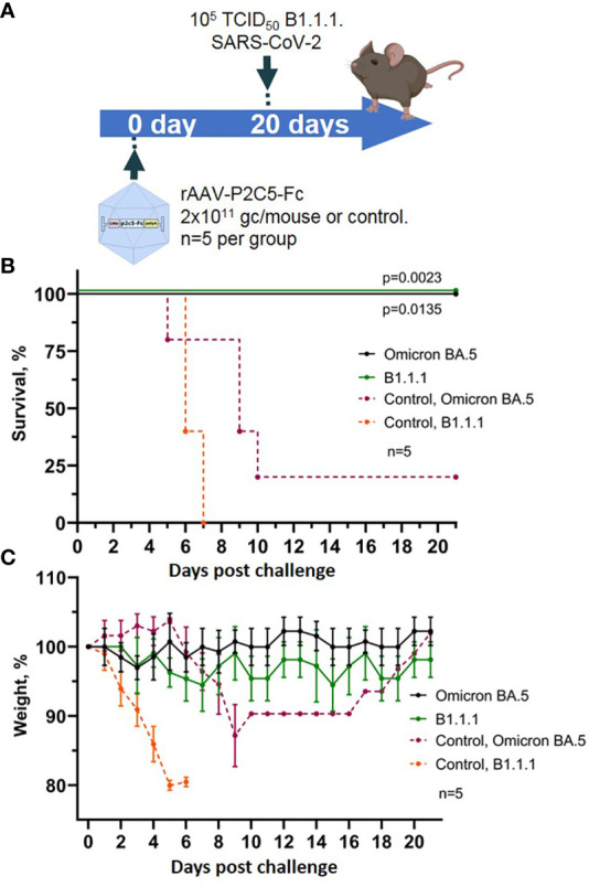 Figure 6