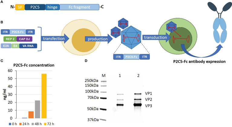 Figure 1