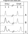 FIG. 1.