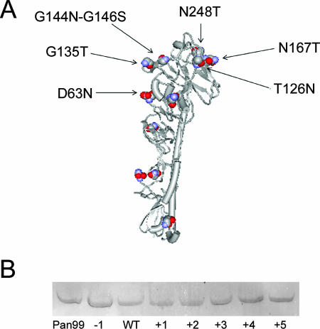 FIG. 2.